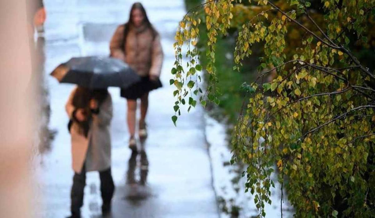 Михаил Леус представил прогноз погоды в Петербурге на 15 октября