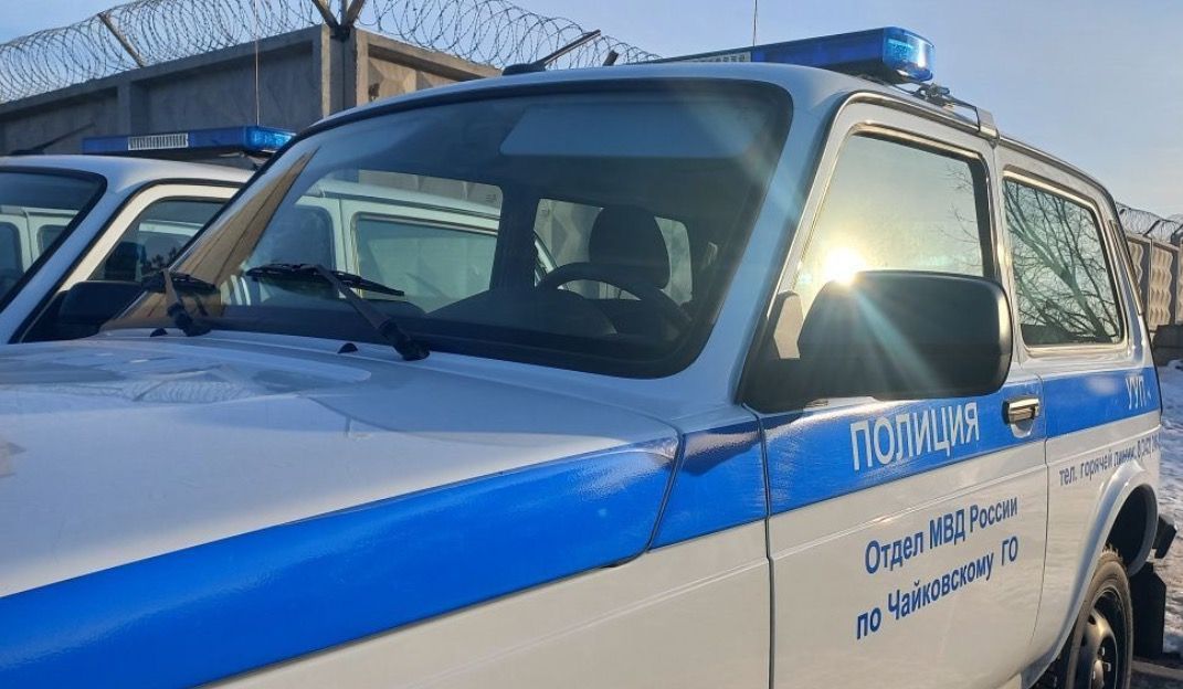 В Чайковском у пенсионеров на замене счётчиков похитили более 2 млн рублей