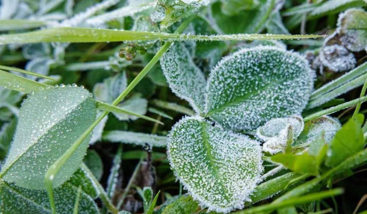 Заморозки надвигаются на Башкирию