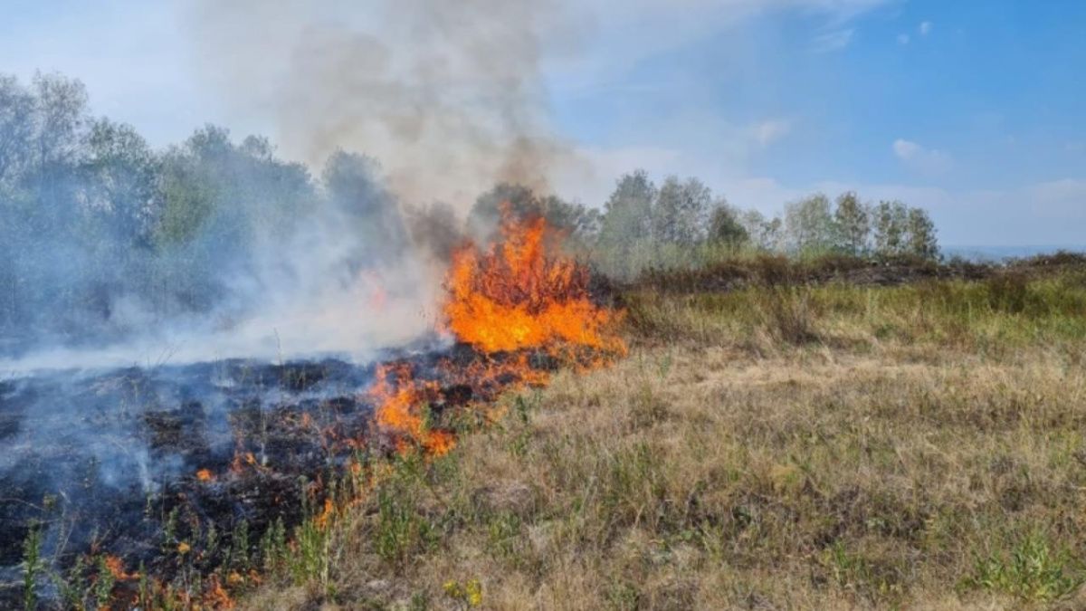 Более 1,6 гектаров охвачены огнём в Башкирии