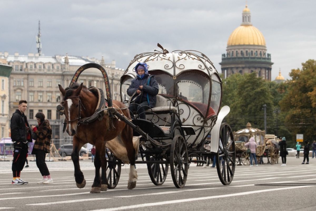 В Петербурге начнут регулировать катание на каретах и верховую езду