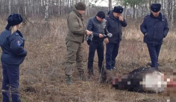 В Башкортостане будут страховать жизнь и здоровье охотничьих инспекторов