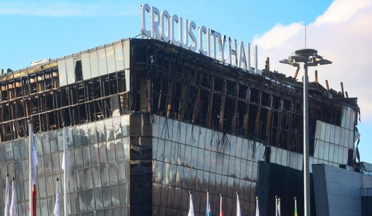 Свидетель рассказал, как террориста из «Крокуса» снимали с дерева