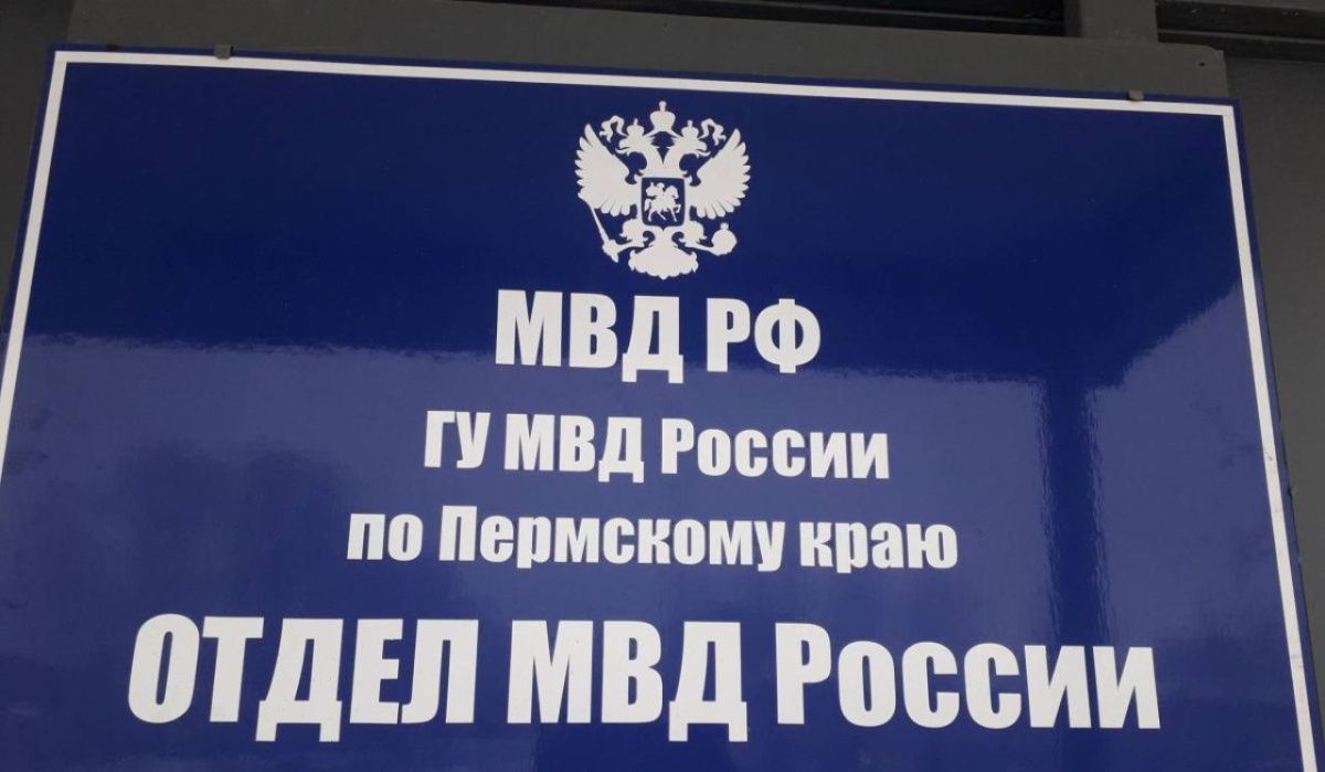 Жительницу Чайковского задержали за кражу наушников