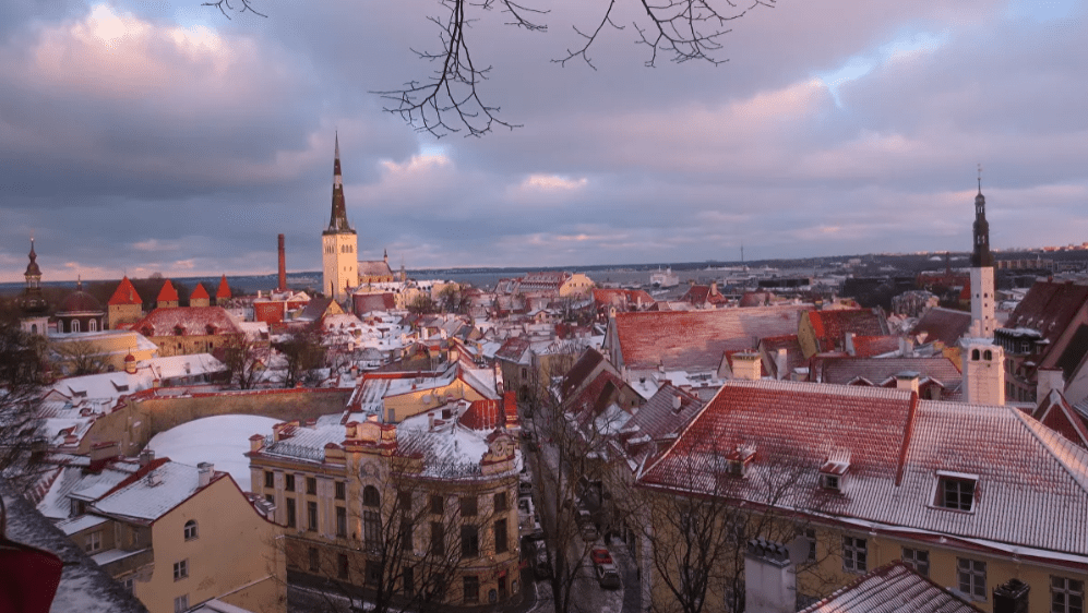 Эстонский депутат обвинил власти в лицемерии при критике России