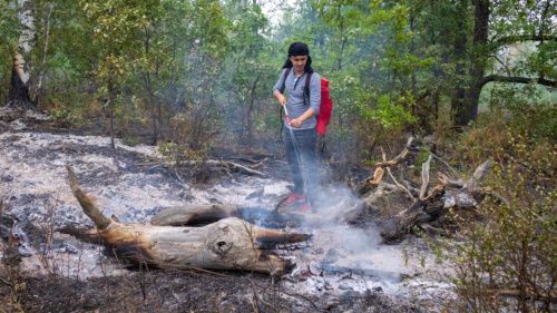 Молодая гвардия Башкортостана идёт на помощь в тушении лесных пожаров