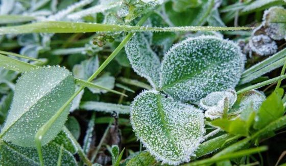 Заморозки надвигаются на Башкирию