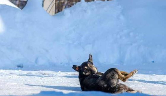 В Башкирии на неделе ожидаются морозы до -32 градусов