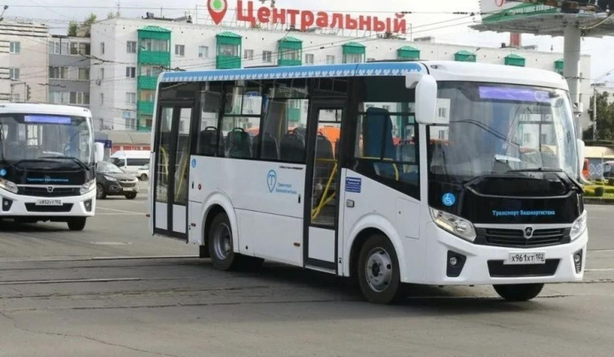 В Башкирии детям участников СВО продлили право бесплатного проезда на общественном транспорте
