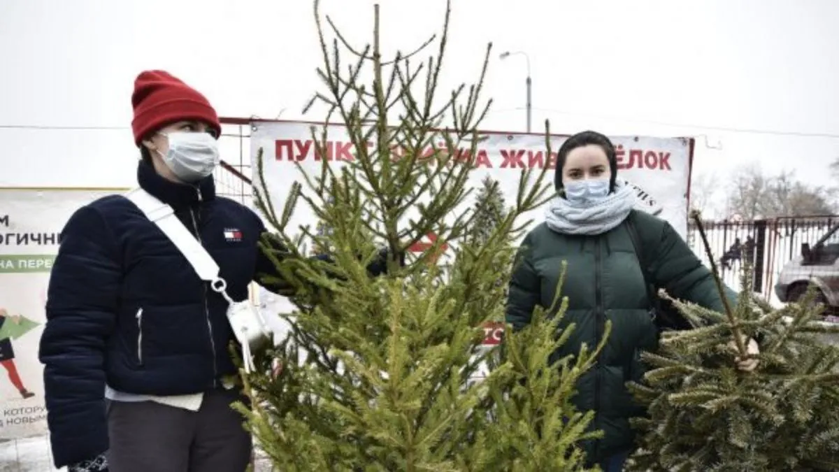 В Уфе сдать новогоднее дерево на переработку можно будет только в течение 4 дней
