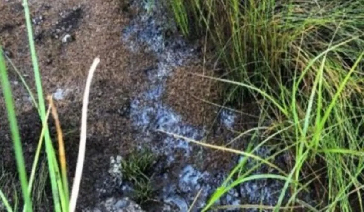 В Башкортостане на реке Белой обнаружили нефтяные разливы